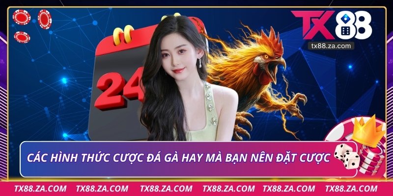 Các hình thức cược đá gà hay mà bạn nên đặt cược